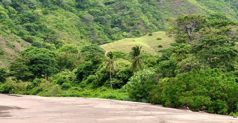 Surfcamp Guanico   Hostel