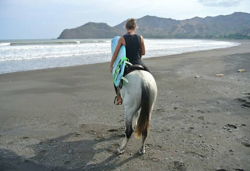 Surfcamp Guanico   Hostel