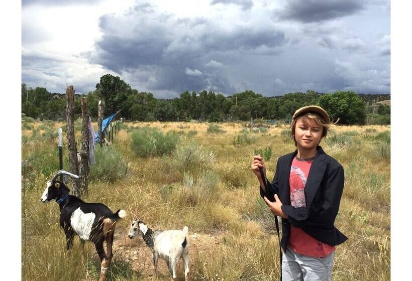 Taos Goji Farm & Eco Lodge Retreat