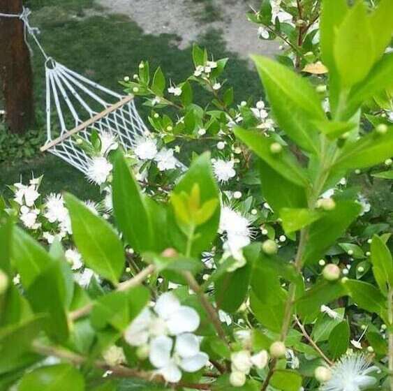 Ugurlubey Butik Dag Oteli