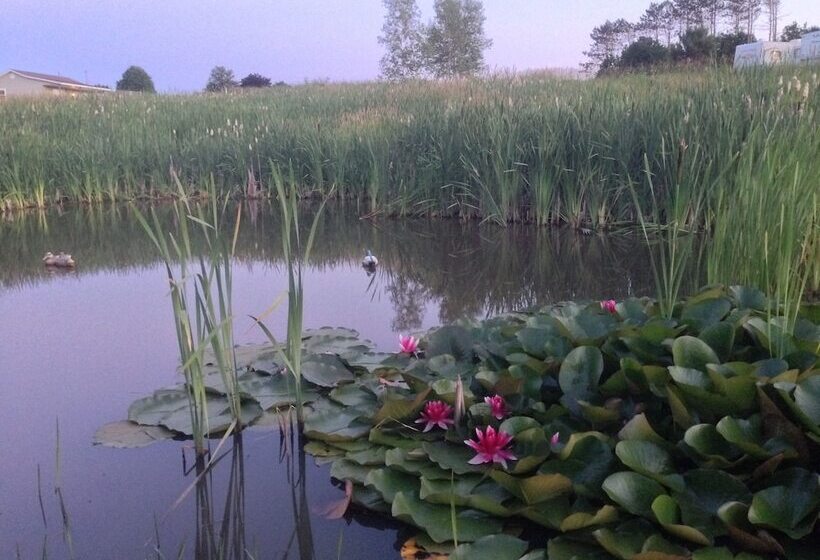 Upper Clements Cottages & Rv Park