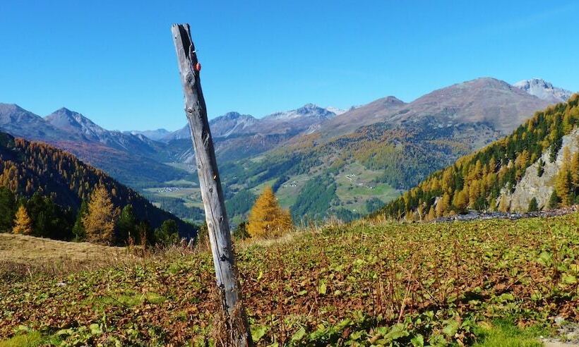 Villa Stelvio Bed & Breakfast