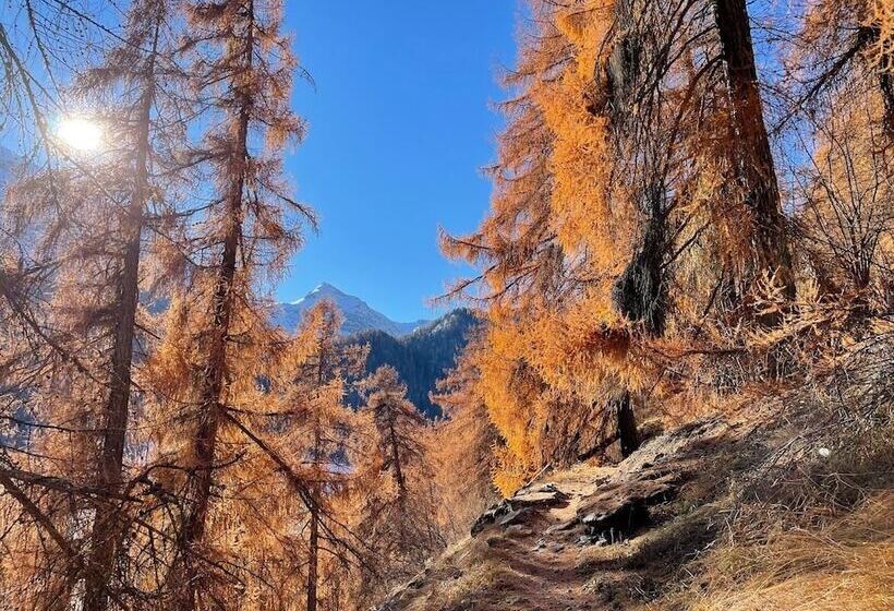 Villa Stelvio Bed & Breakfast