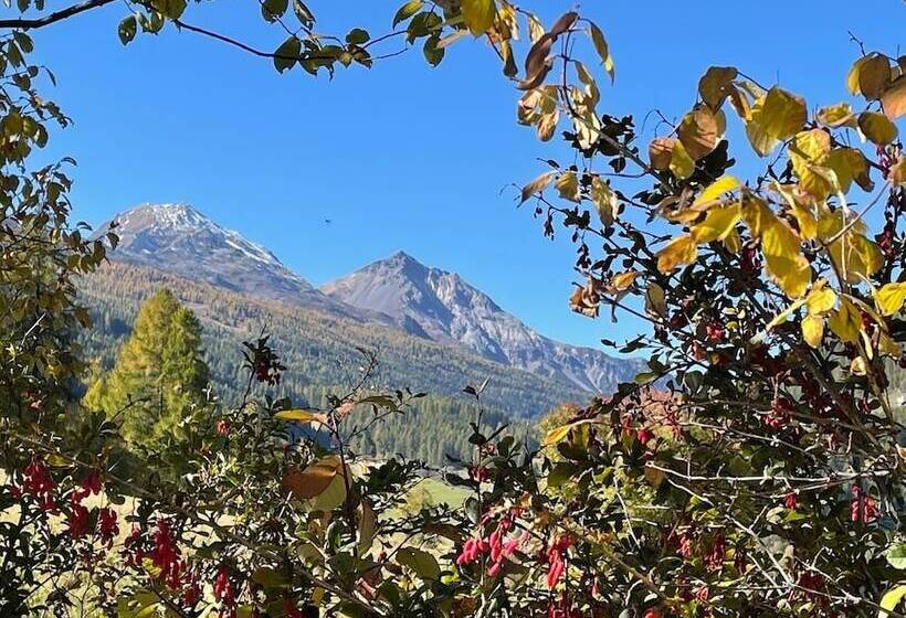 Villa Stelvio Bed & Breakfast