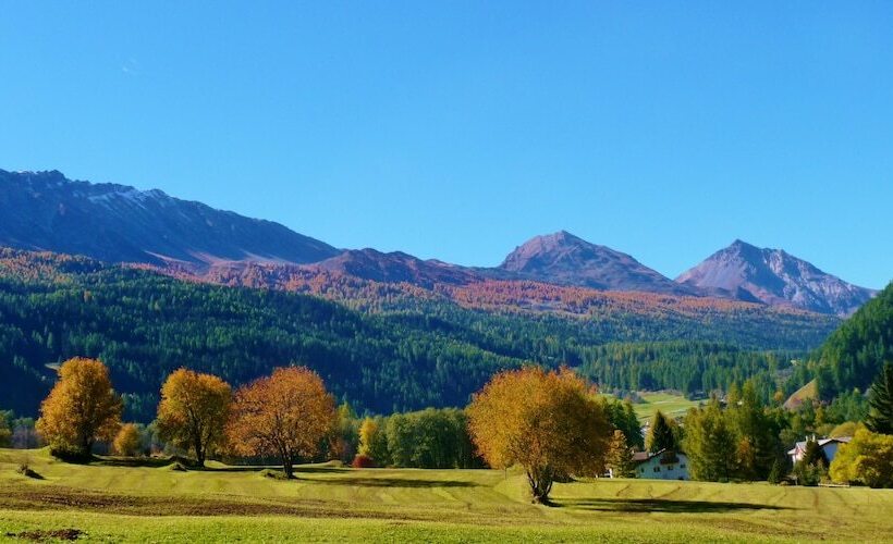 Villa Stelvio Bed & Breakfast