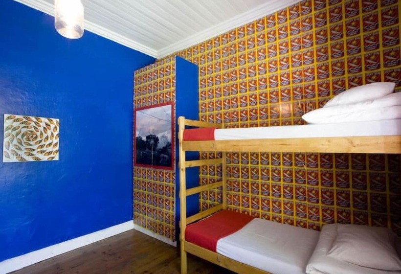 فندق صغير 33 South Backpackers