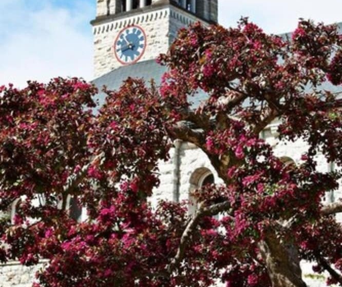 Общежитие Queen S University   David C. Smith House   Campus Accommodation