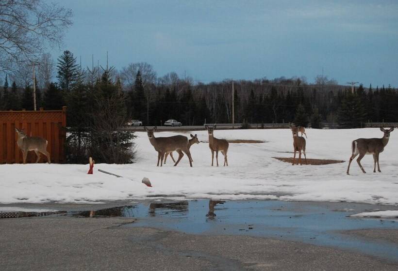 Auberge Motel Godard