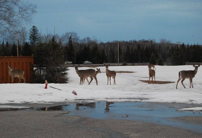 Auberge Motel Godard
