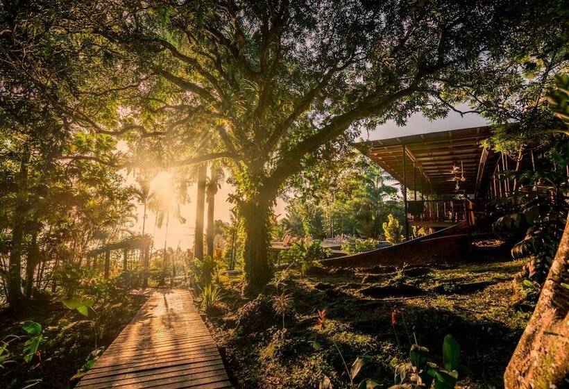 Bambuda Lodge   Hostel