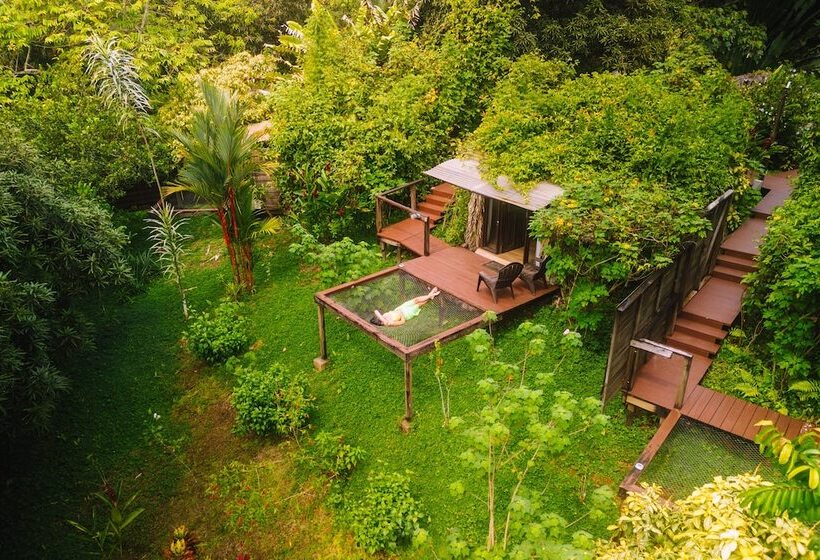 Bambuda Lodge   Hostel