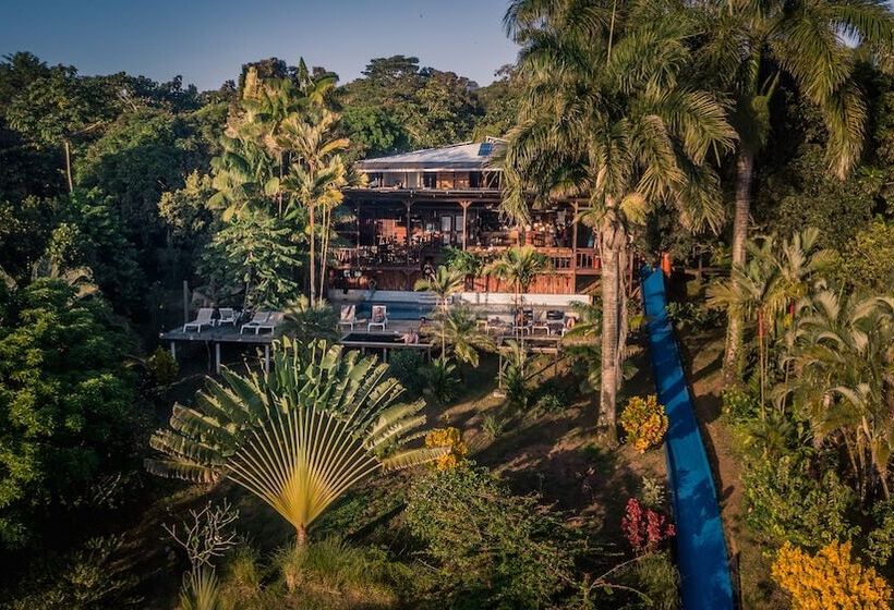 Bambuda Lodge   Hostel