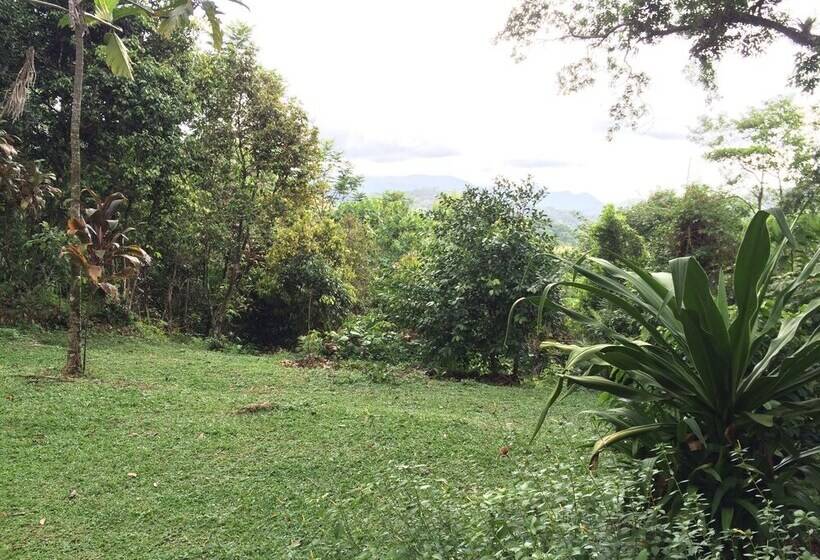 Bed and Breakfast A Little Paradise