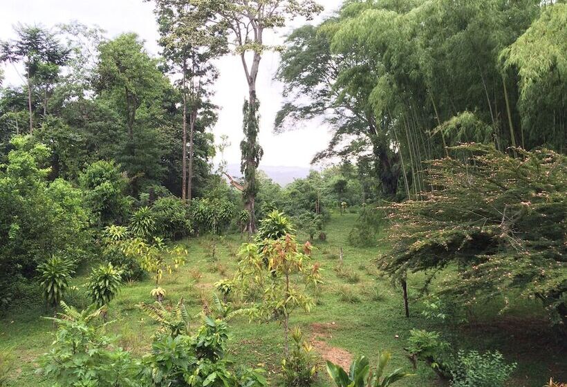 Bed and Breakfast A Little Paradise