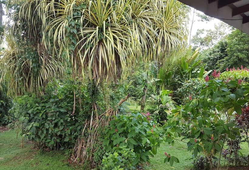 Bed and Breakfast A Little Paradise