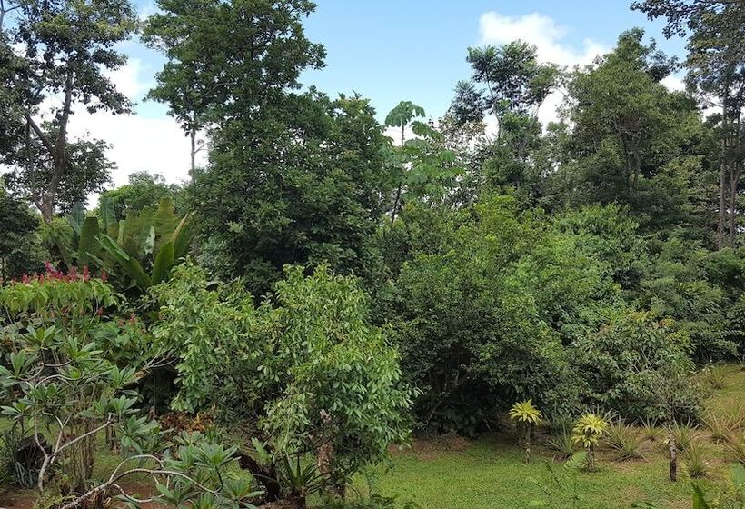 Bed and Breakfast A Little Paradise