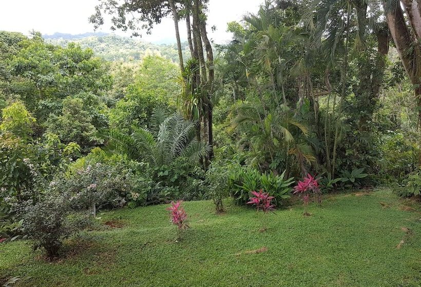 Bed and Breakfast A Little Paradise