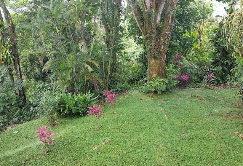 Bed and Breakfast A Little Paradise