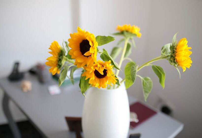 민박 Affittacamere Nonna Laura