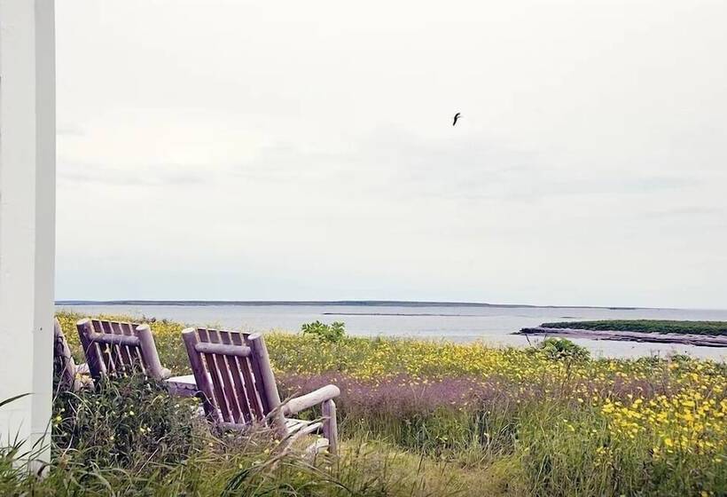 ベッドアンドブレックファースト Auberge De L île Aux Perroquets