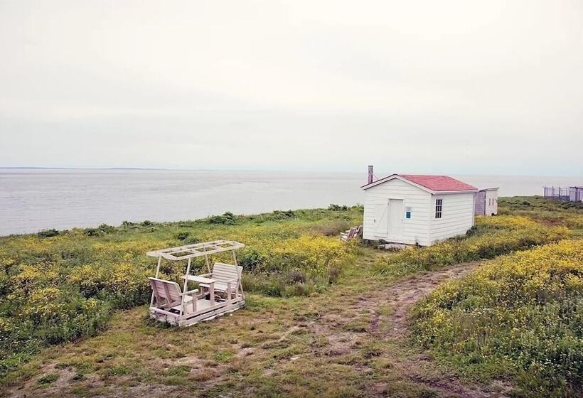 민박 Auberge De L île Aux Perroquets