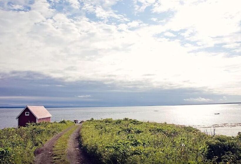 住宿加早餐 Auberge De L île Aux Perroquets