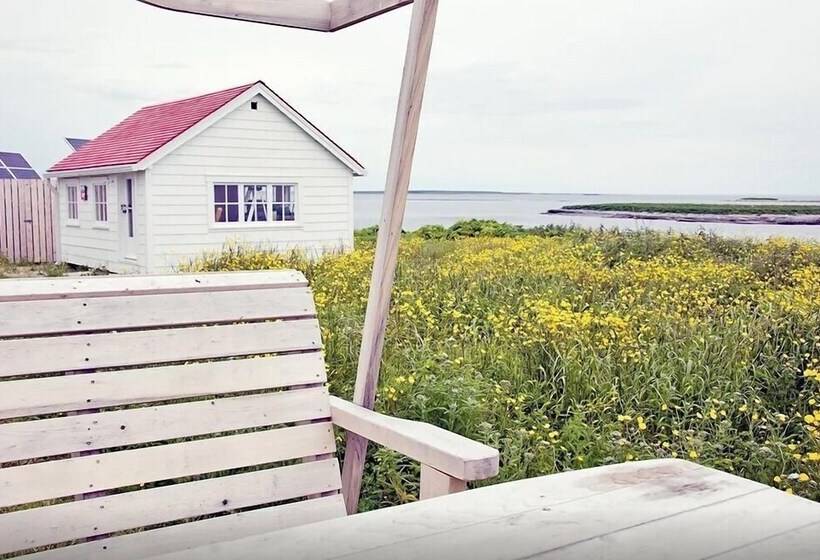 ベッドアンドブレックファースト Auberge De L île Aux Perroquets