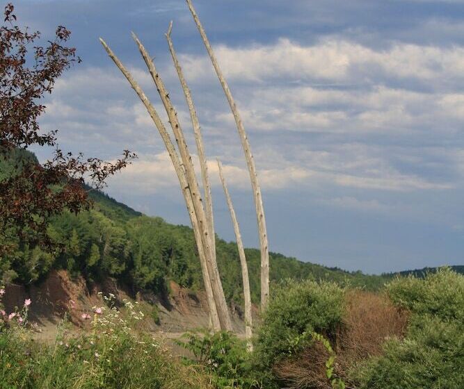 住宿加早餐 Auberge Wanta Qo Ti