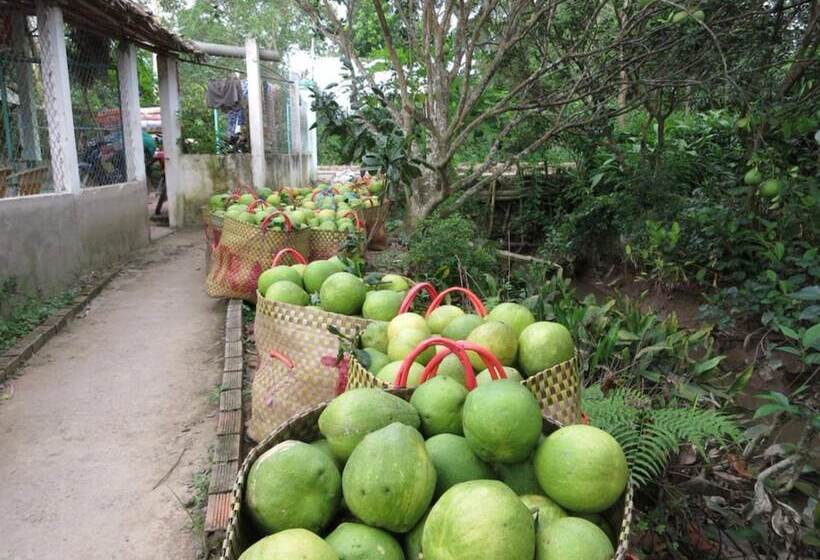 تختخواب و صبحانه My Hoa Mekong Homestay