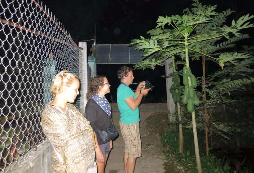 تختخواب و صبحانه My Hoa Mekong Homestay