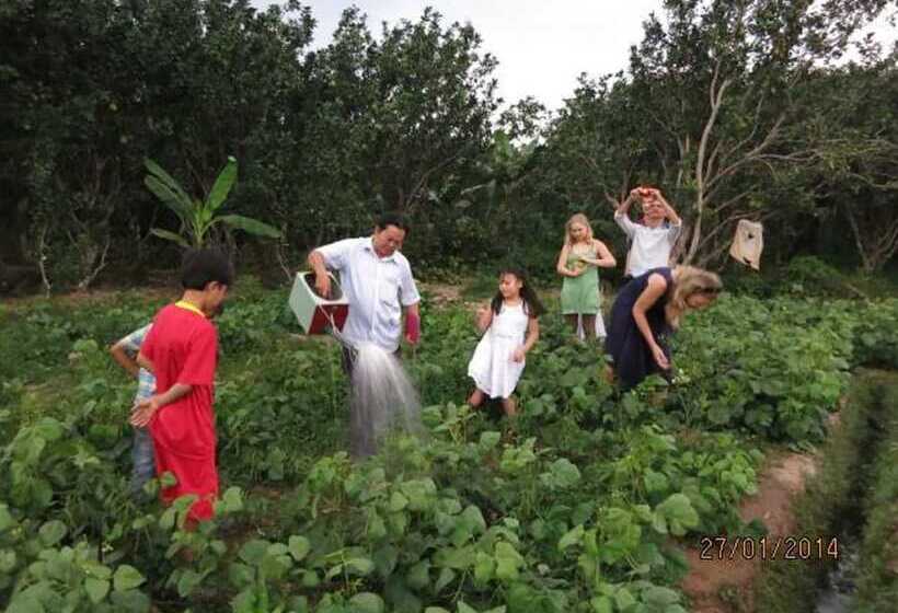 تختخواب و صبحانه My Hoa Mekong Homestay