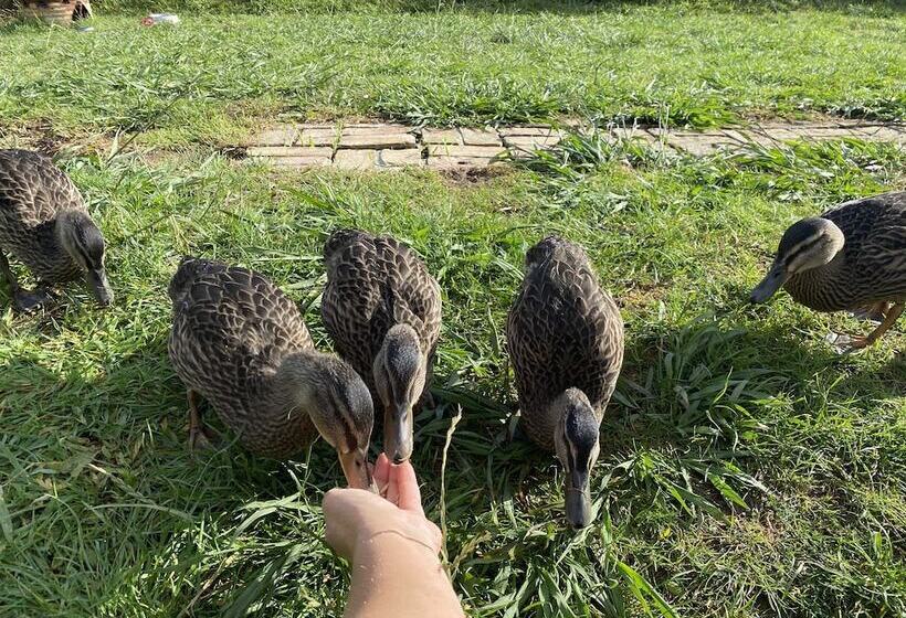 צימר Pukeatua Farmstay