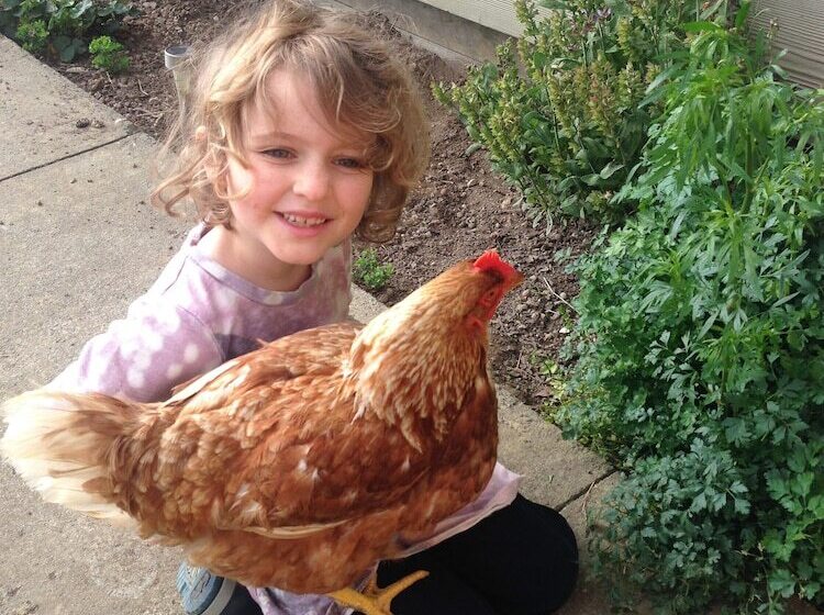 צימר Pukeatua Farmstay