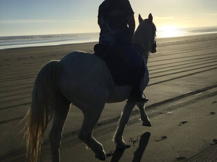 צימר Pukeatua Farmstay