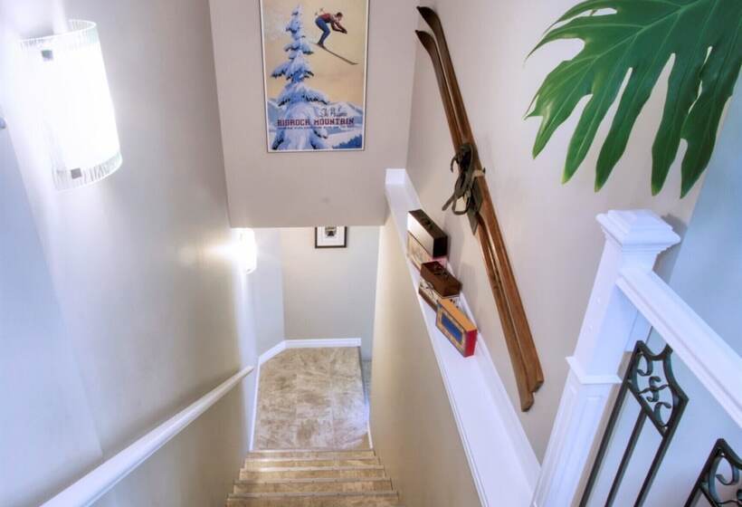 مبيت وإفطار Shamrock Suites