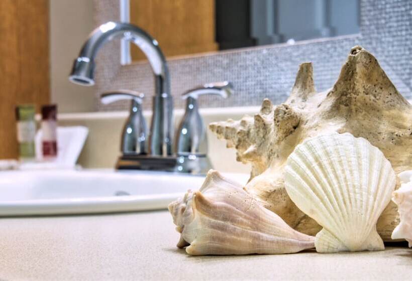 مبيت وإفطار Shamrock Suites