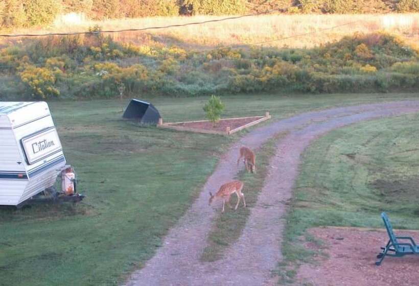 مبيت وإفطار Waterview Rooms