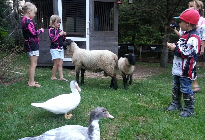 Bed & Breakfast Du Repos