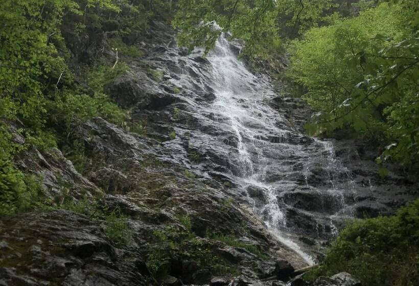 Big Intervale Fishing Lodge