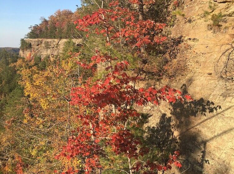 Black Bear Lodge Motel