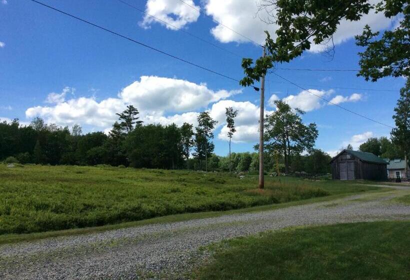 Blueberry Fields B&b