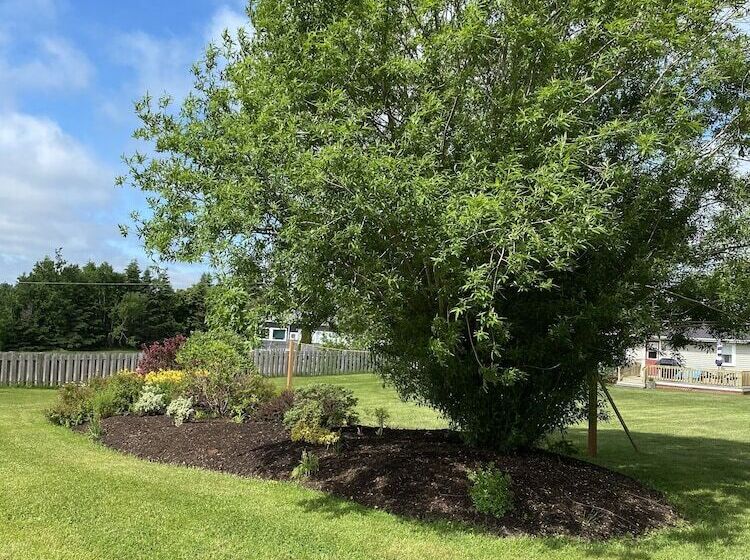 Cavendish Lodge & Cottages