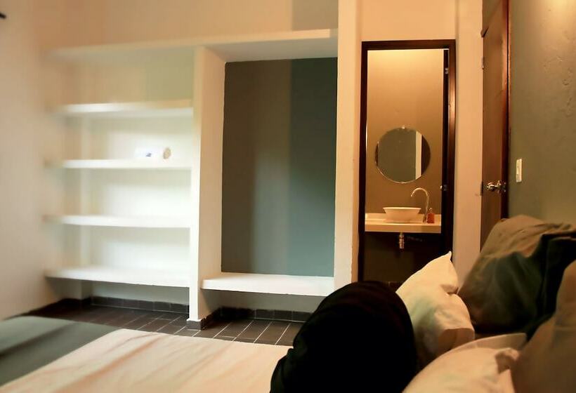 Color Hostel Palomino