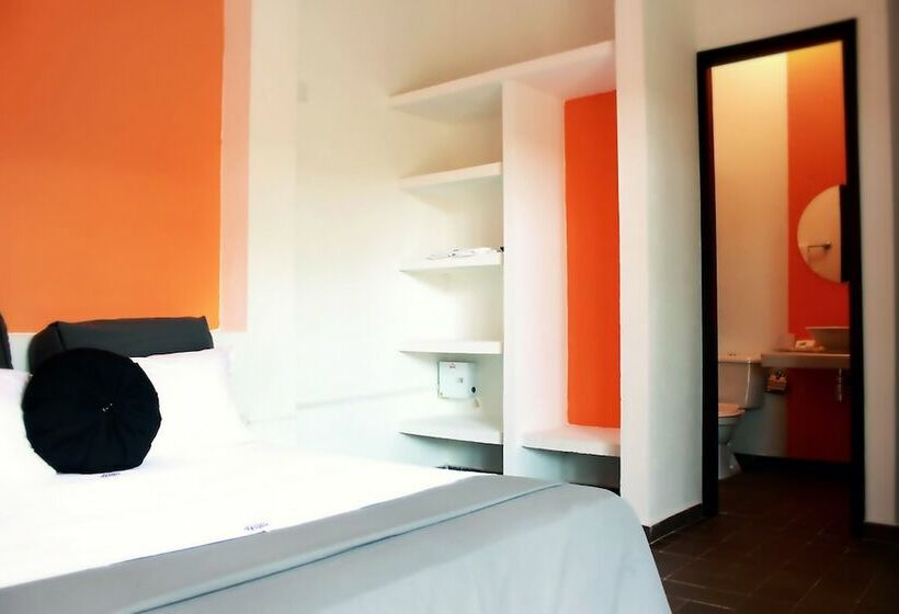 Color Hostel Palomino