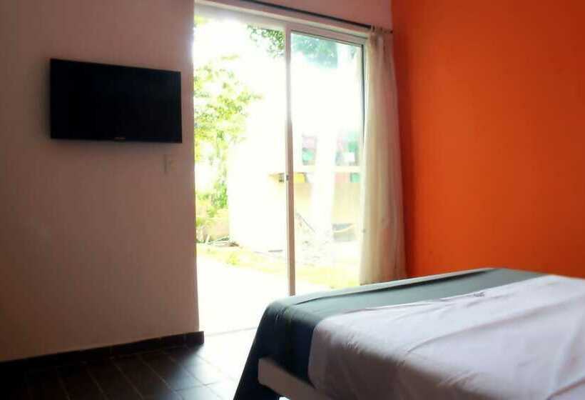 Color Hostel Palomino