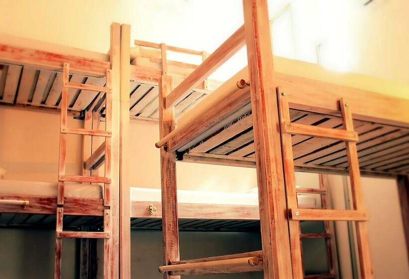 Color Hostel Palomino