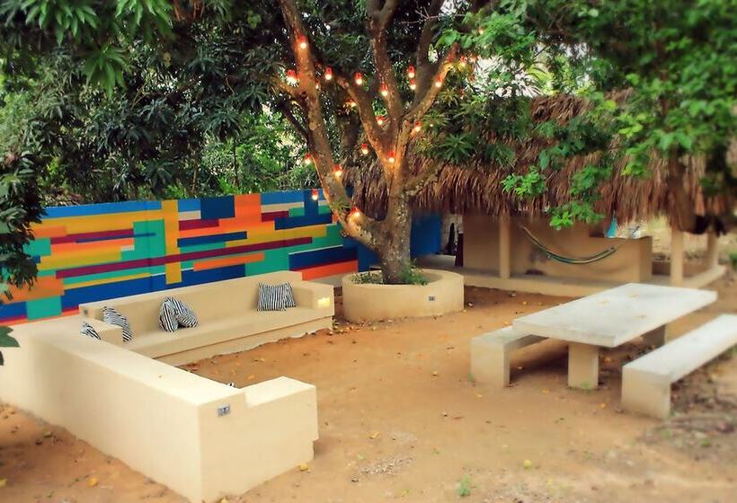 Color Hostel Palomino