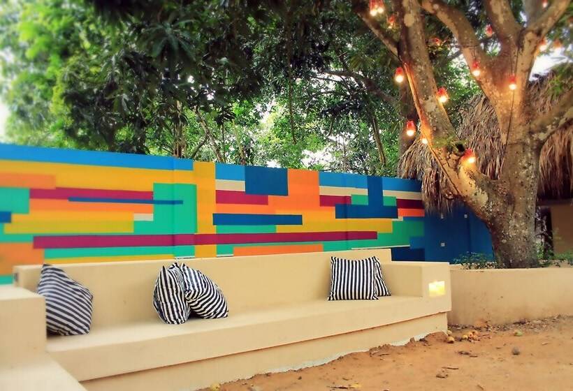 Color Hostel Palomino