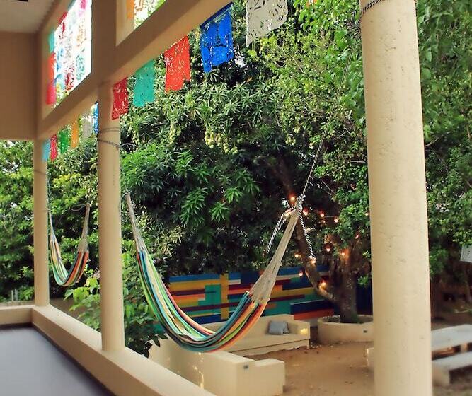 Color Hostel Palomino