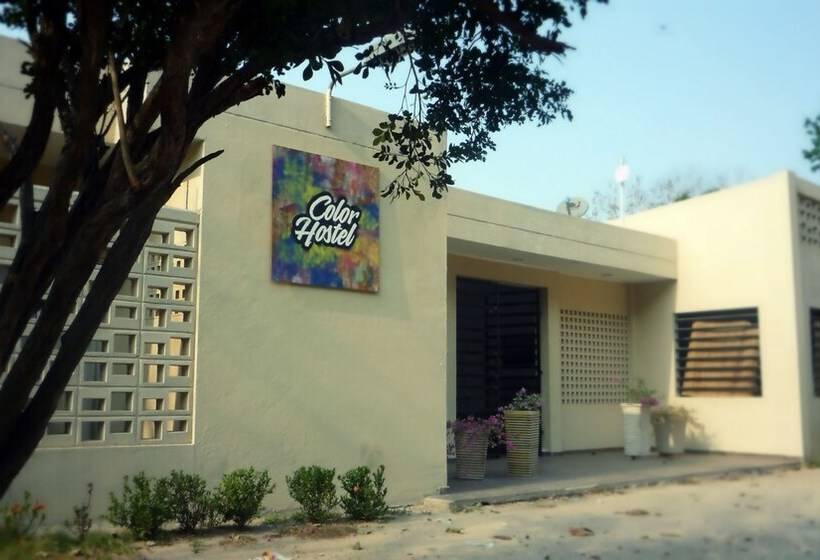 Color Hostel Palomino